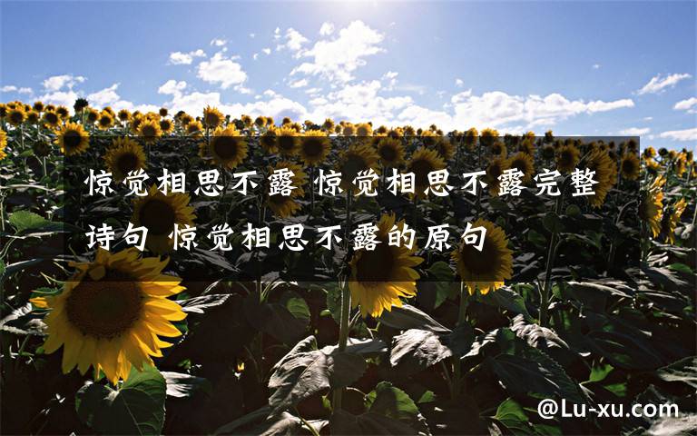 惊觉相思不露 惊觉相思不露完整诗句 惊觉相思不露的原句文章配图