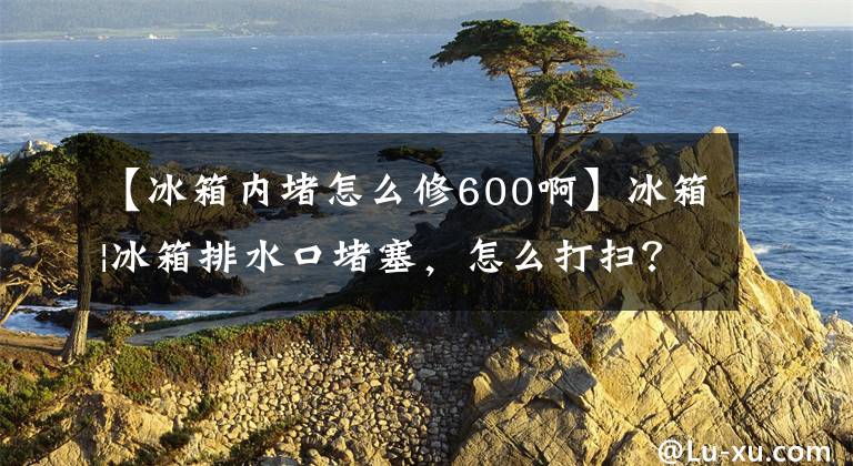 【冰箱内堵怎么修600啊】冰箱|冰箱排水口堵塞，怎么打扫？文章配图