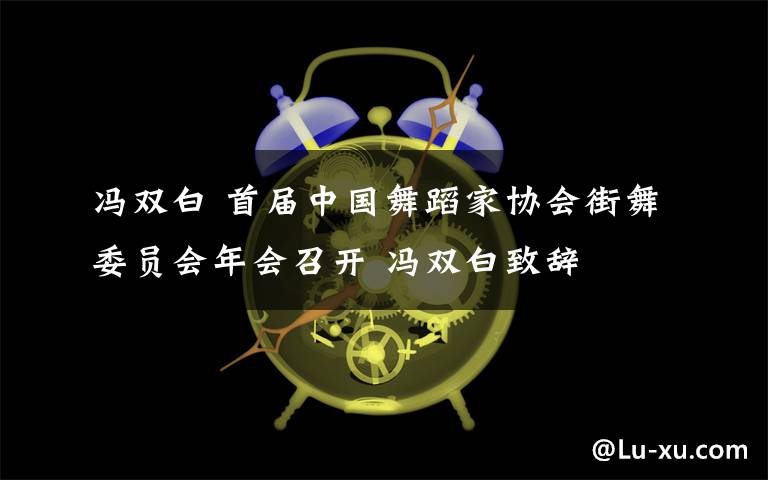 冯双白 首届中国舞蹈家协会街舞委员会年会召开 冯双白致辞