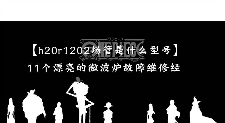 【h20r1202场管是什么型号】11个漂亮的微波炉故障维修经验