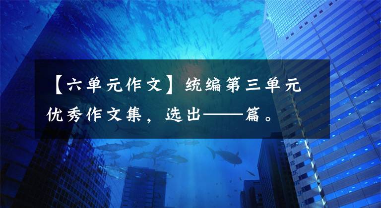 【六单元作文】统编第三单元优秀作文集，选出——篇。文章配图