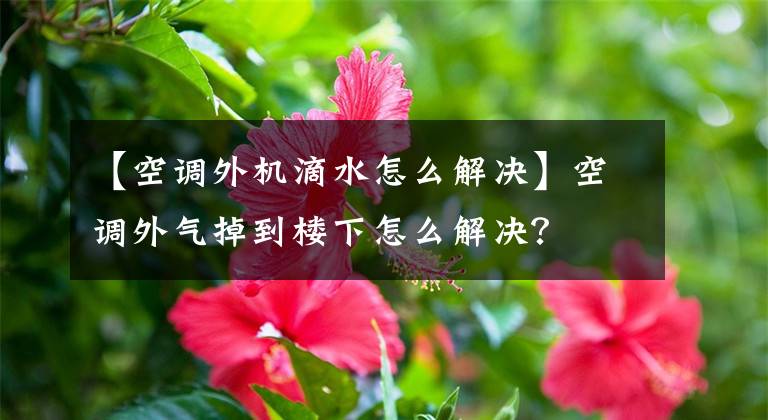 【空调外机滴水怎么解决】空调外气掉到楼下怎么解决？文章配图
