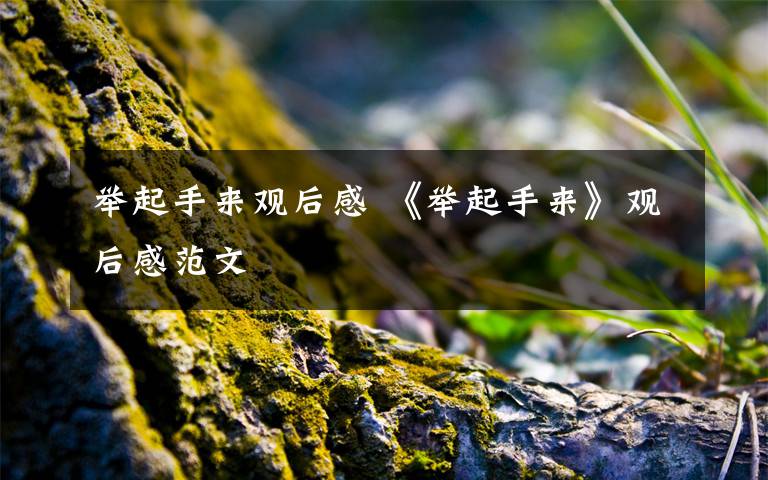 举起手来观后感 《举起手来》观后感范文文章配图