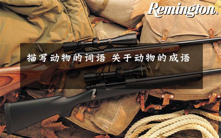 描写动物的词语 关于动物的成语文章配图