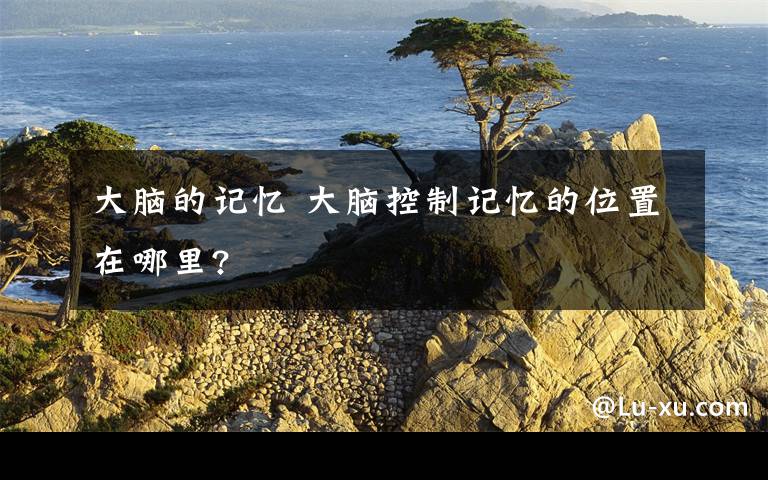 大脑的记忆 大脑控制记忆的位置在哪里?