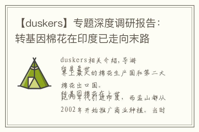 【duskers】专题深度调研报告：转基因棉花在印度已走向末路