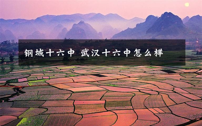 钢城十六中 武汉十六中怎么样文章配图