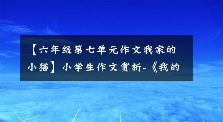 【六年级第七单元作文我家的小猫】小学生作文赏析-《我的动物朋友小猫》 300字(精选范文3篇)