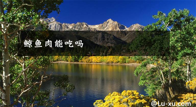 鲸鱼肉能吃吗文章配图
