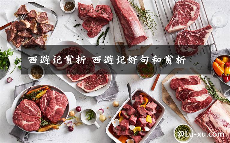 西游记赏析 西游记好句和赏析