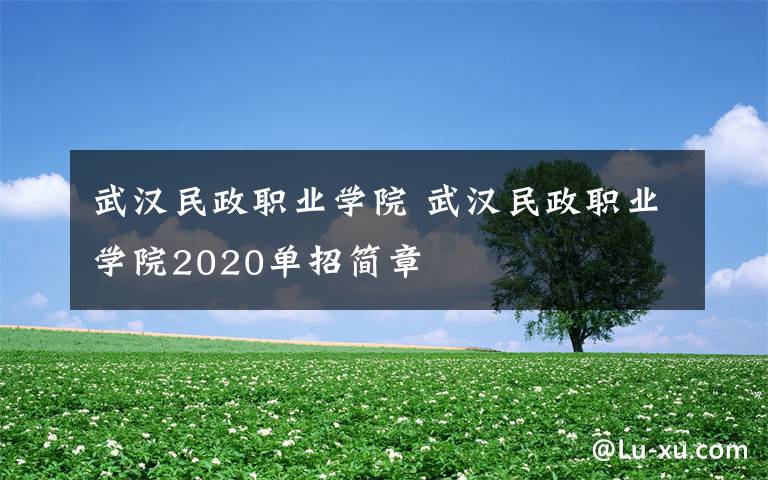 武汉民政职业学院 武汉民政职业学院2020单招简章