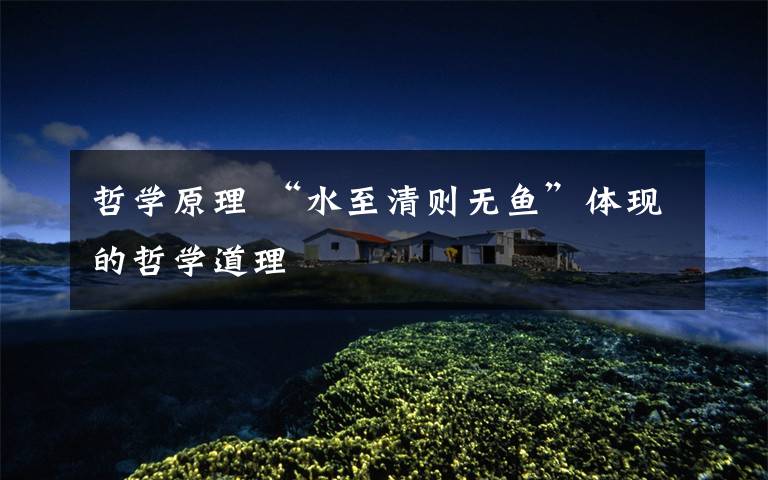 哲学原理 “水至清则无鱼”体现的哲学道理文章配图