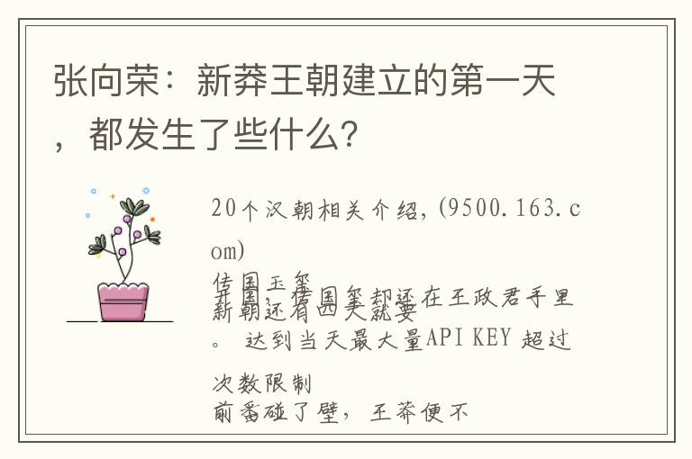 张向荣：新莽王朝建立的第一天，都发生了些什么？文章配图
