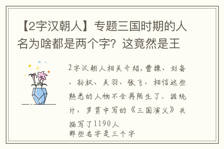 【2字汉朝人】专题三国时期的人名为啥都是两个字？这竟然是王莽惹下的祸