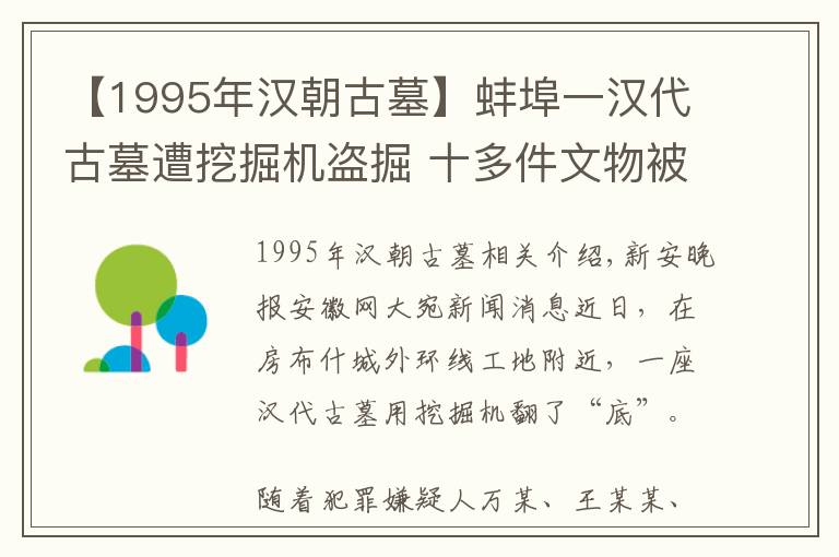【1995年汉朝古墓】蚌埠一汉代古墓遭挖掘机盗掘 十多件文物被破损无法修复