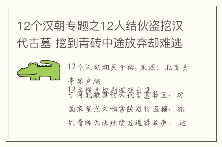 12个汉朝专题之12人结伙盗挖汉代古墓 挖到青砖中途放弃却难逃法网