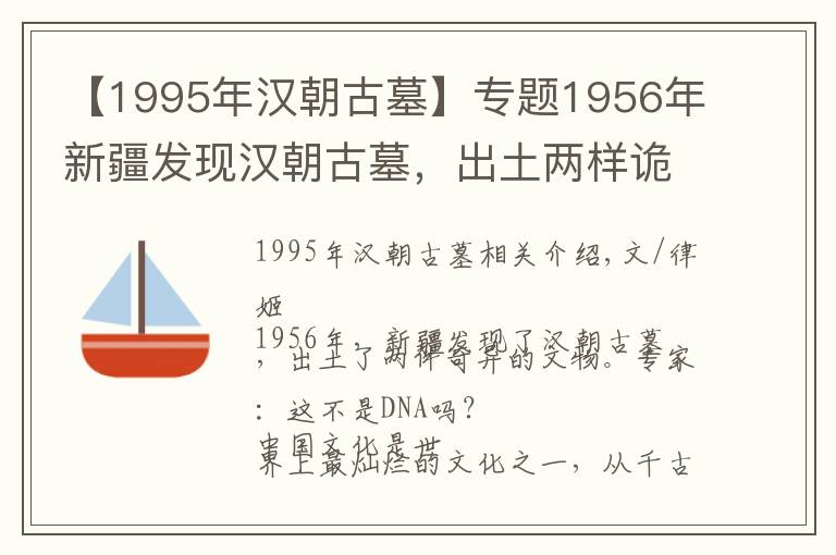 【1995年汉朝古墓】专题1956年新疆发现汉朝古墓，出土两样诡异文物，专家：这不是DNA吗