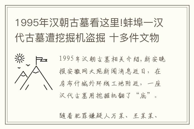 1995年汉朝古墓看这里!蚌埠一汉代古墓遭挖掘机盗掘 十多件文物被破损无法修复