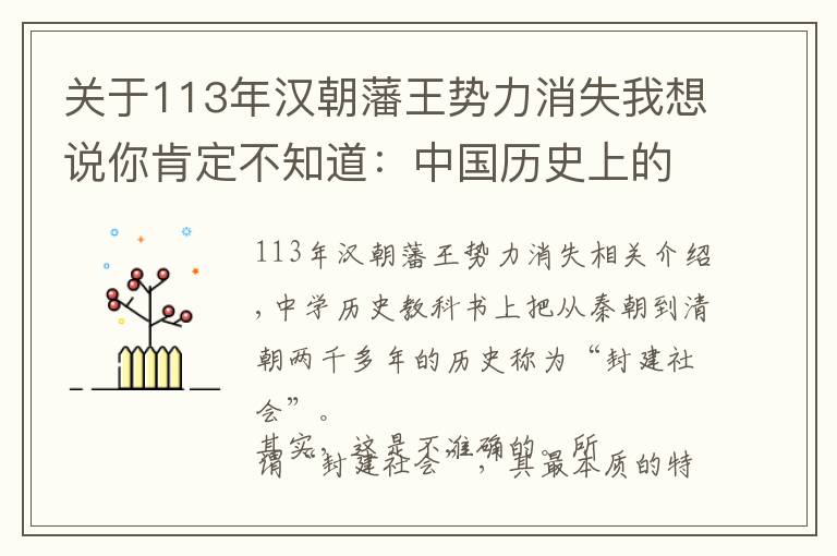 关于113年汉朝藩王势力消失我想说你肯定不知道：中国历史上的四次“藩王之乱”