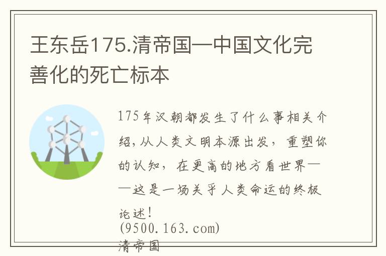 王东岳175.清帝国—中国文化完善化的死亡标本