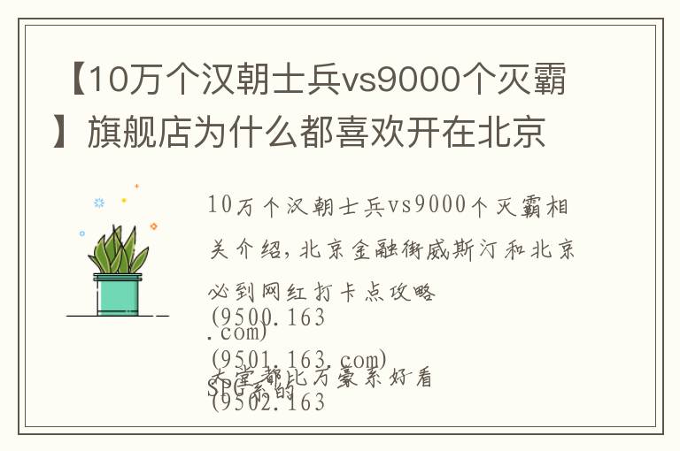 【10万个汉朝士兵vs9000个灭霸】旗舰店为什么都喜欢开在北京？跟着网红打卡点走一遭