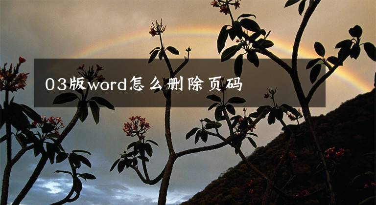 03版word怎么删除页码