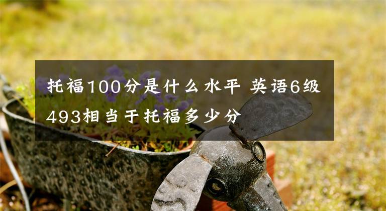 托福100分是什么水平 英语6级493相当于托福多少分