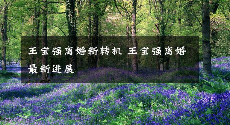 王宝强离婚新转机 王宝强离婚最新进展文章配图