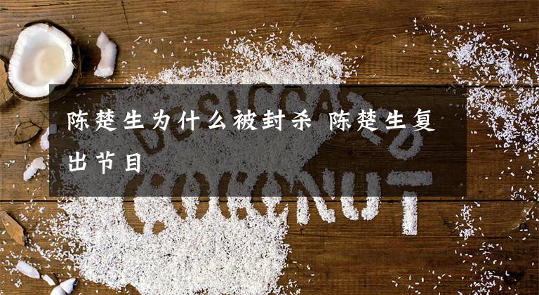 陈楚生为什么被封杀 陈楚生复出节目文章配图