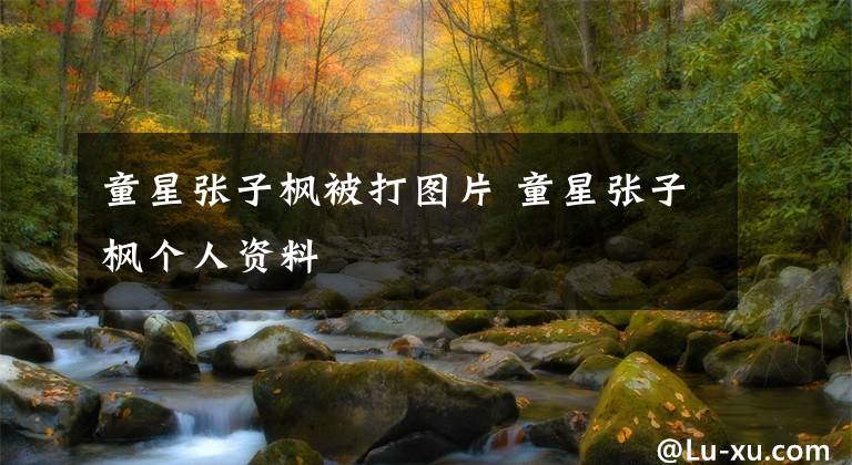 童星张子枫被打图片 童星张子枫个人资料文章配图