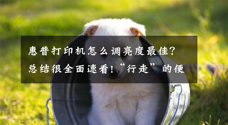 惠普打印机怎么调亮度最佳？总结很全面速看!“行走”的便携式打印机 惠普100评测文章配图