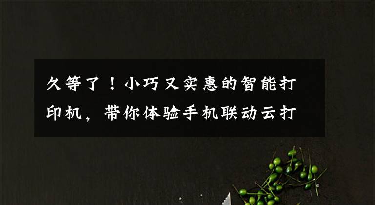 久等了！小巧又实惠的智能打印机，带你体验手机联动云打印文章配图
