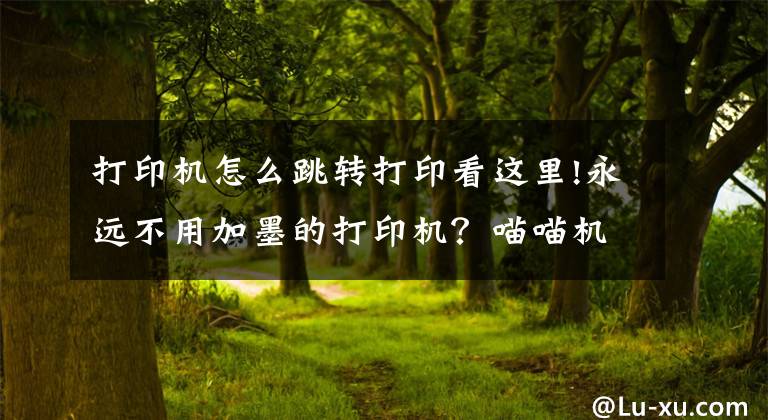 打印机怎么跳转打印看这里!永远不用加墨的打印机？喵喵机家用打印机F1评测体验文章配图