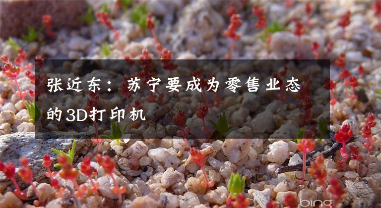 张近东：苏宁要成为零售业态的3D打印机文章配图