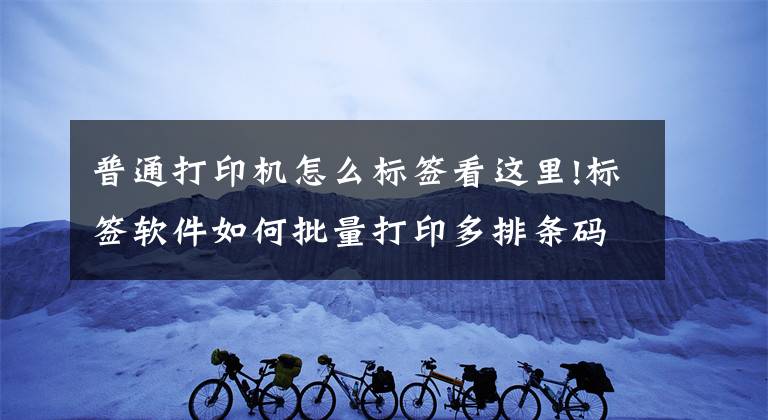 普通打印机怎么标签看这里!标签软件如何批量打印多排条码标签文章配图