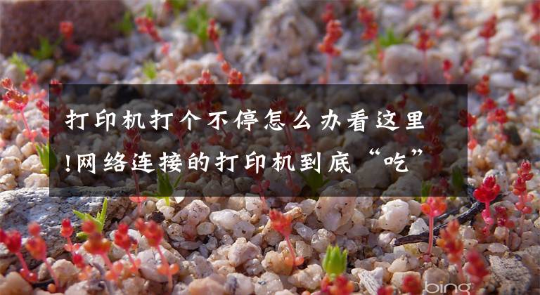 打印机打个不停怎么办看这里!网络连接的打印机到底“吃”了什么，导致打印的根本停不下来文章配图