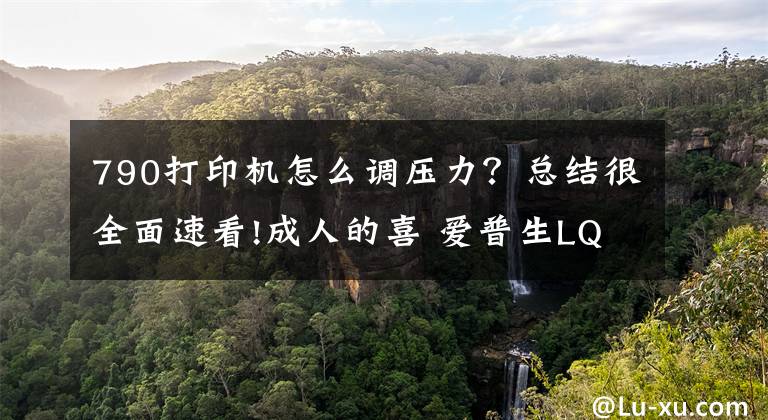 790打印机怎么调压力？总结很全面速看!成人的喜 爱普生LQ-790K证书打印机