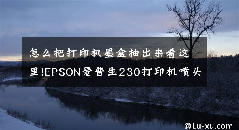 怎么把打印机墨盒抽出来看这里!EPSON爱普生230打印机喷头拆卸文章配图
