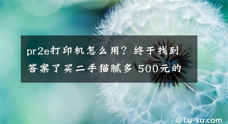 pr2e打印机怎么用？终于找到答案了买二手猫腻多 500元的打单神器你敢买吗?文章配图
