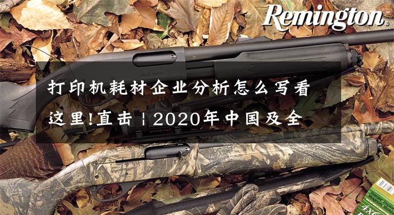 打印机耗材企业分析怎么写看这里!直击 | 2020年中国及全球打印机耗材行业市场发展现状文章配图
