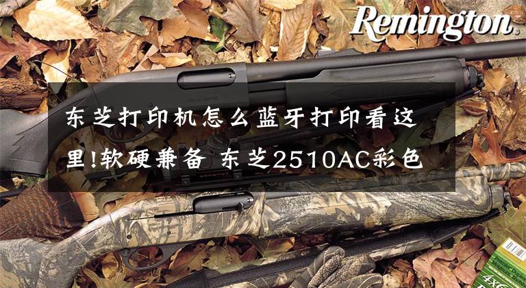 东芝打印机怎么蓝牙打印看这里!软硬兼备 东芝2510AC彩色A3复印机评测文章配图