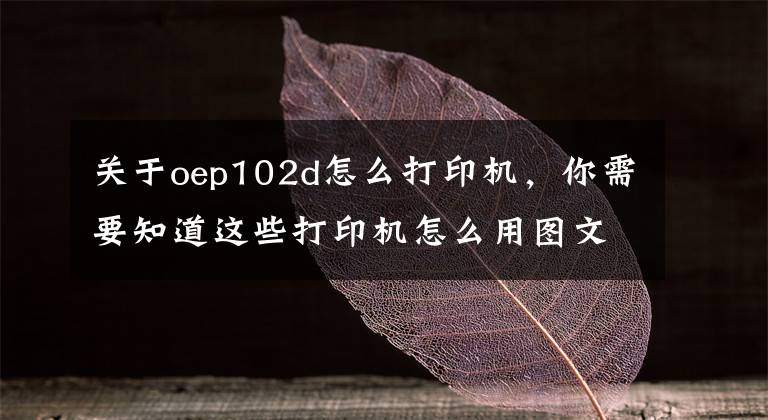 关于oep102d怎么打印机，你需要知道这些打印机怎么用图文详解文章配图