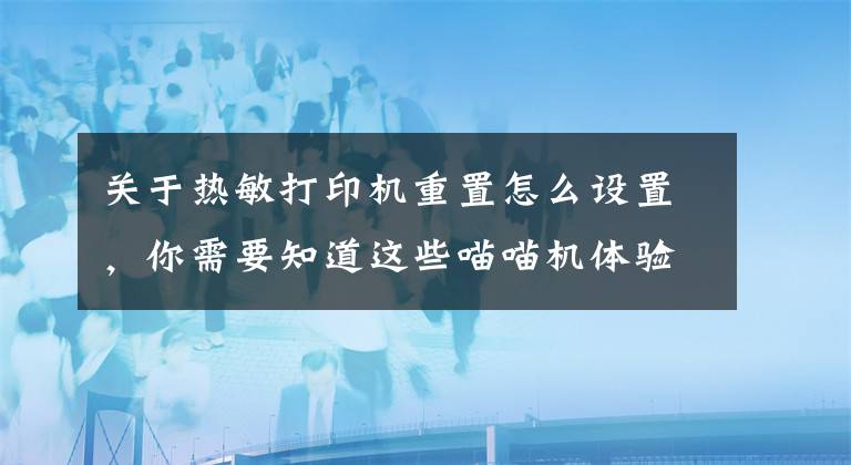 关于热敏打印机重置怎么设置，你需要知道这些喵喵机体验——爱不释手的错题打印机