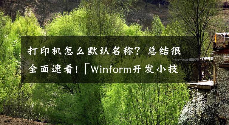 打印机怎么默认名称？总结很全面速看!「Winform开发小技巧04」设置打印机