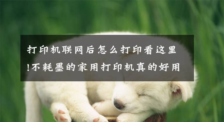 打印机联网后怎么打印看这里!不耗墨的家用打印机真的好用吗？喵喵机家用打印机F1测评来了文章配图