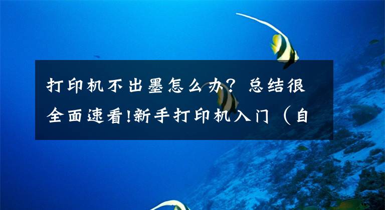 打印机不出墨怎么办？总结很全面速看!新手打印机入门（自己的感受）文章配图