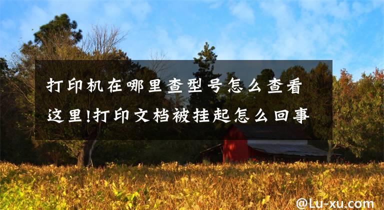打印机在哪里查型号怎么查看这里!打印文档被挂起怎么回事文章配图