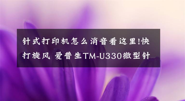 针式打印机怎么消音看这里!快打旋风 爱普生TM-U330微型针打评测文章配图