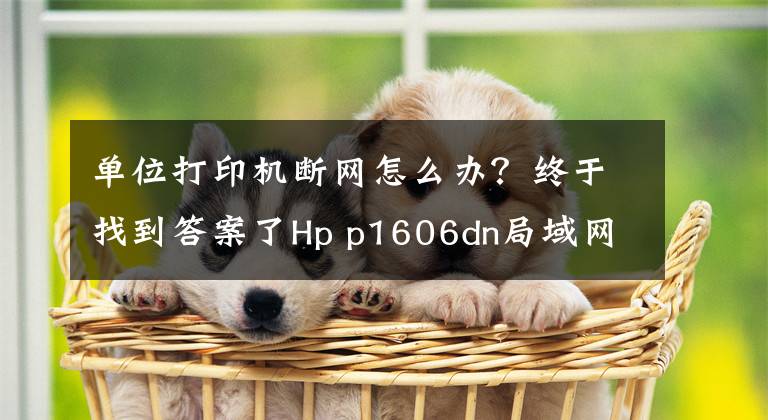 单位打印机断网怎么办？终于找到答案了Hp p1606dn局域网网络打印无法连接的解决步骤