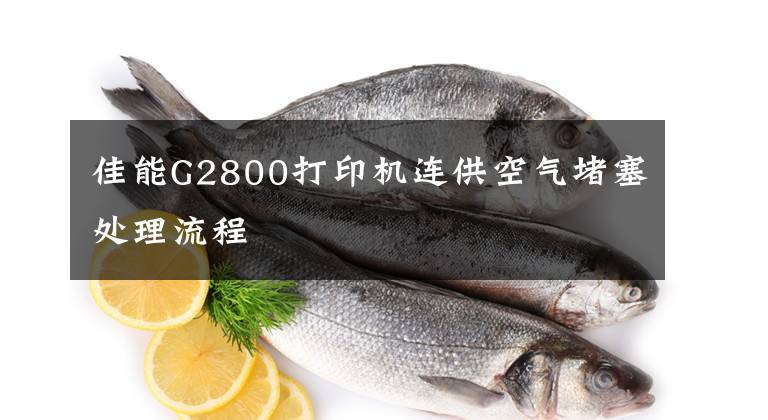 佳能G2800打印机连供空气堵塞处理流程文章配图